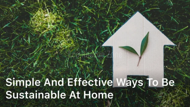 Simple and Effective Ways to Be Sustainable At Home