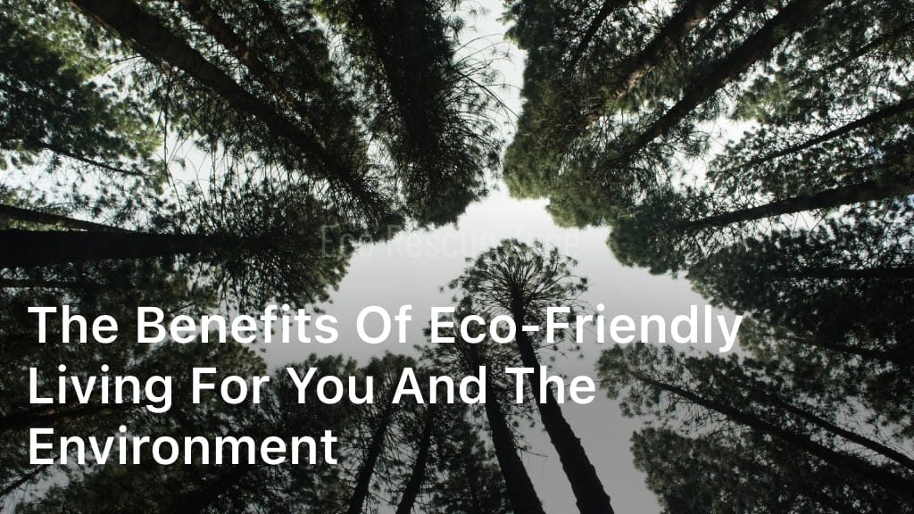 The Benefits of Eco-friendly Living for You and the Environment