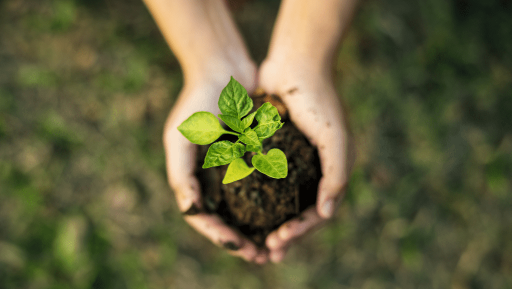 Rise of Eco-Friendly Packaging