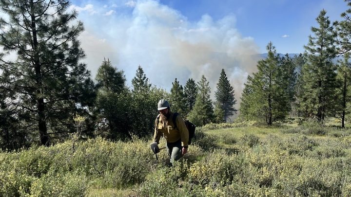 As western fires erupt, Trump’s Forest Service says it’s now fully staffed