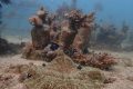 Taiwan says Chinese pressure over the island is the ‘new normal’