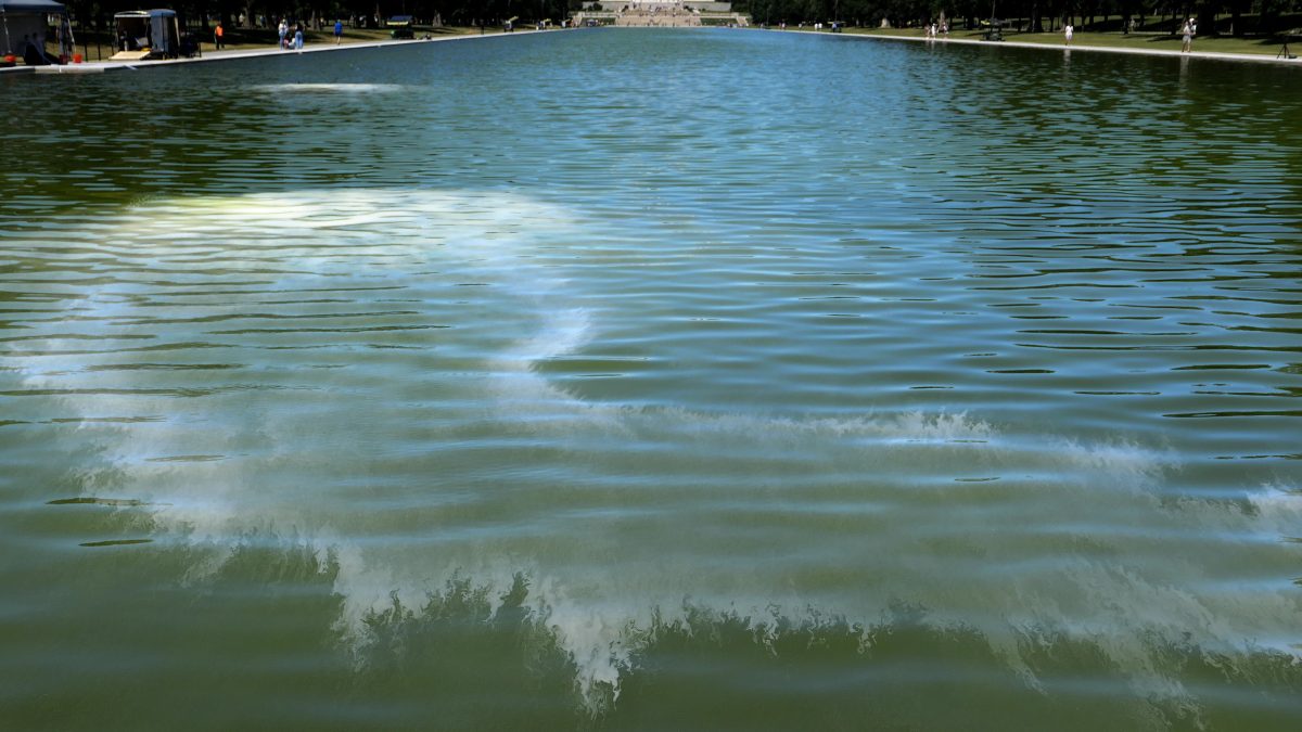 Newly-Renovated Lincoln Memorial Reflecting Pool Turns Green With Algae