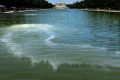 Algae clouded Trump’s vision for the Reflecting Pool. But scientists aren’t surprised