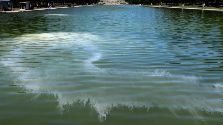 Algae clouded Trump’s vision for the Reflecting Pool. But scientists aren’t surprised