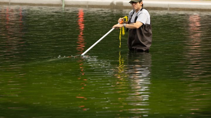 Opinion: Algae doesn’t care about our party lines