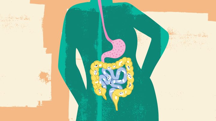 8 things to know about the gut microbiome and keeping yours healthy