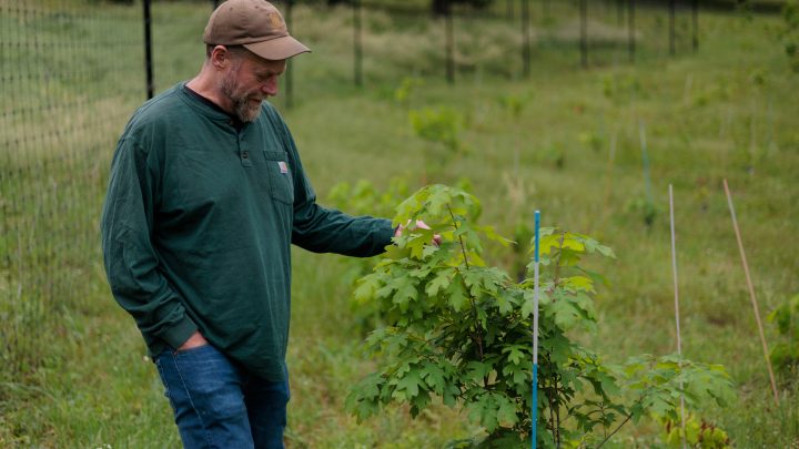 The Forest Service wants to close research hubs to save money. That could be costly