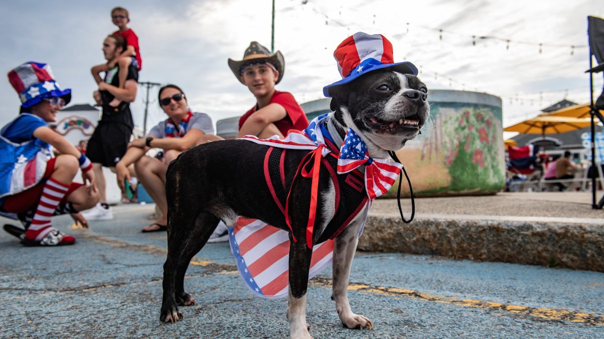 Tips for taking care of your pets when fireworks are booming