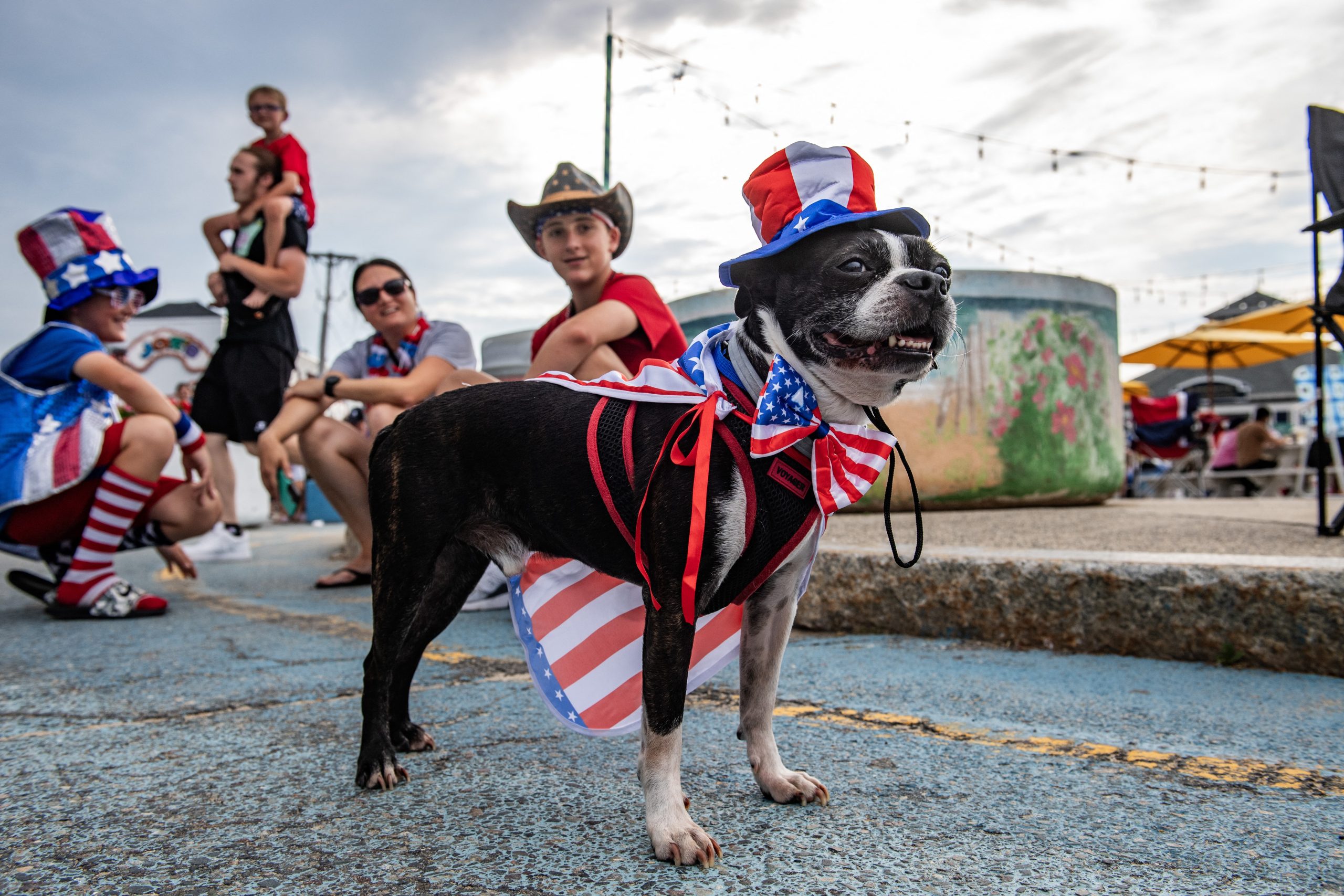 Tips for taking care of your pets when fireworks are booming