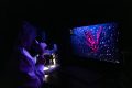 From neon mosquitoes to winged migrations, top images captured by scientists