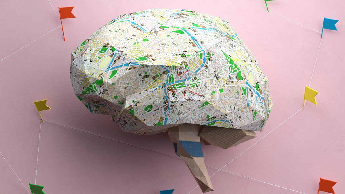Paper Brain