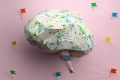 Socioeconomic factors are becoming ‘biologically embedded’ in children’s brains