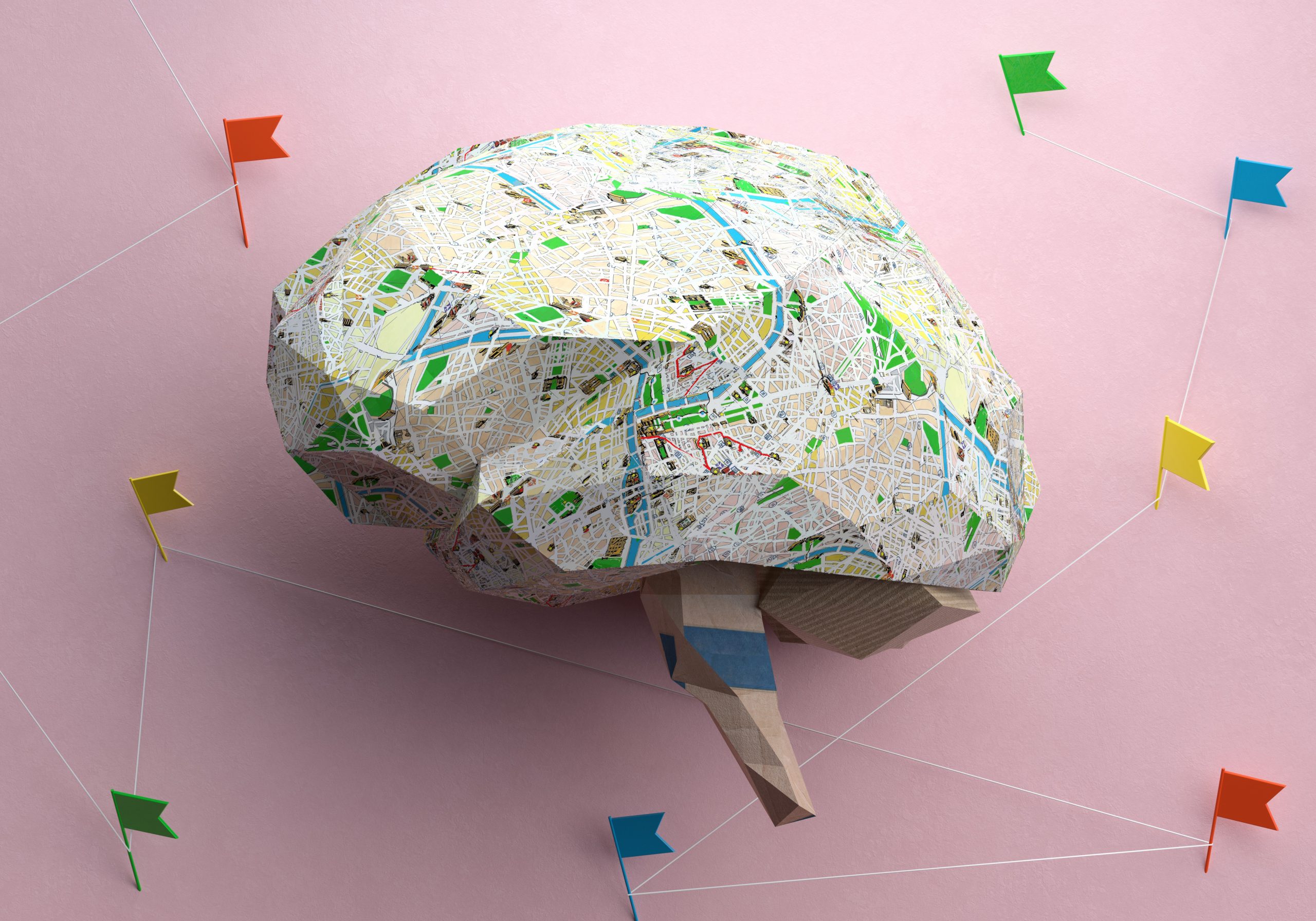Socioeconomic factors are becoming ‘biologically embedded’ in children’s brains