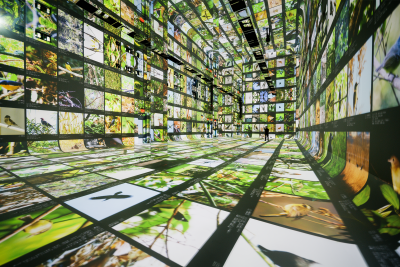 ‘Machines are collaborators’ at this new museum of AI art