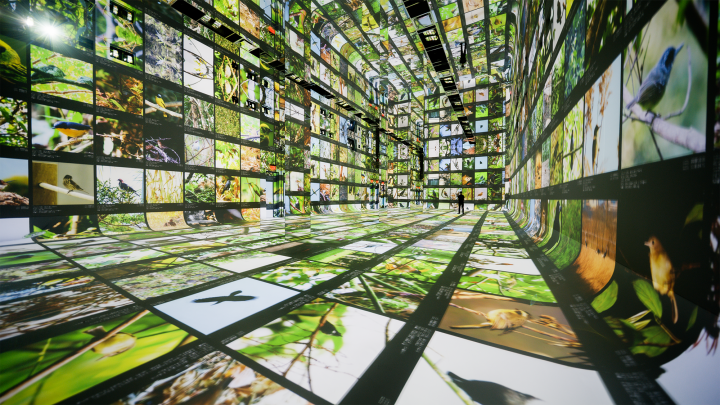 ‘Machines are collaborators’ at this new museum of AI art