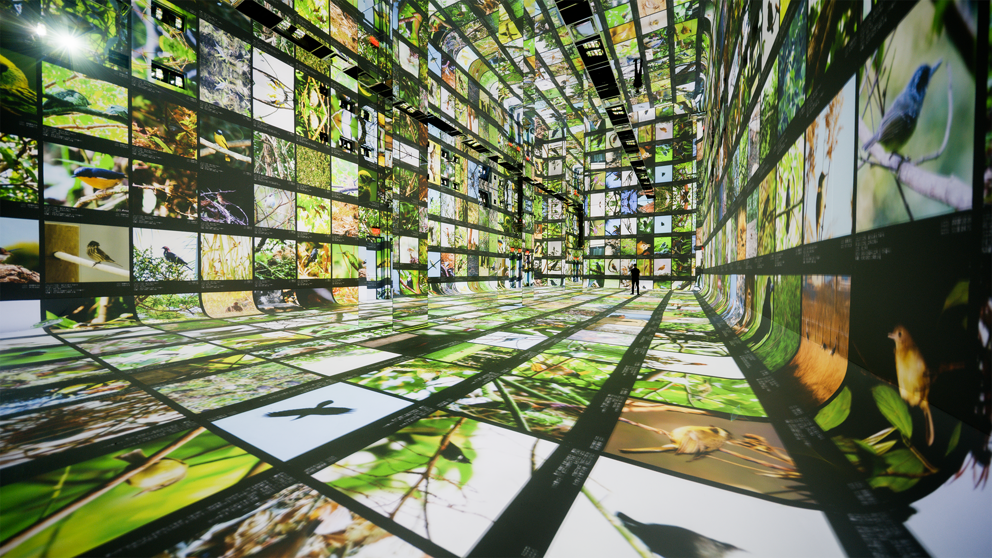 ‘Machines are collaborators’ at this new museum of AI art