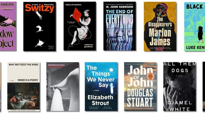 Here are the 13 books that made the Booker Prize longlist