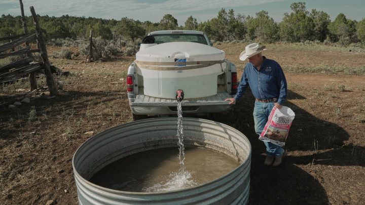 As extreme heat grips the South and West, here’s how to stay safe