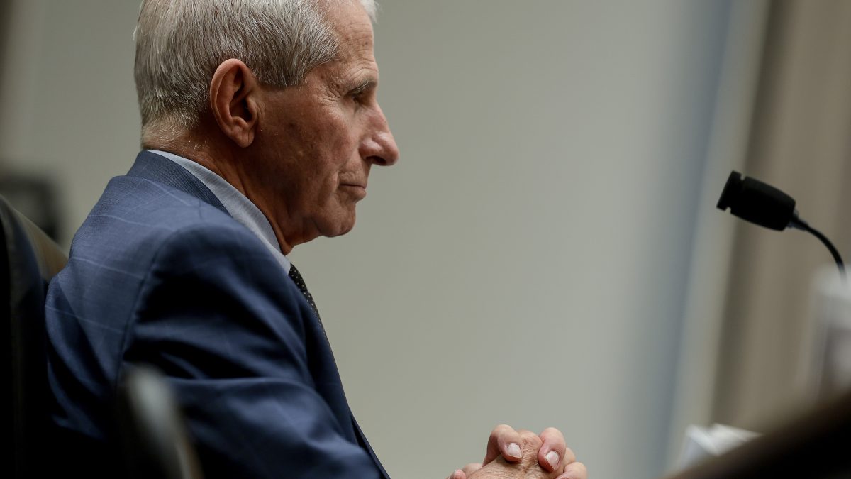 Former NIH Director Anthony Fauci Testifies Senate Committee On Homeland Affairs
