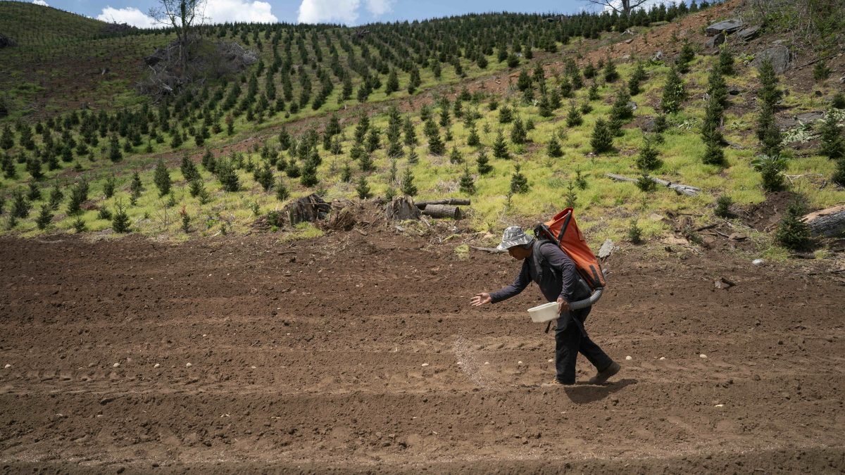 North Carolina Farmers Plant Crops Amid Extreme Drought Conditions