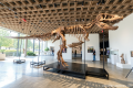 Want to own a real T. rex? It could cost you $30 million