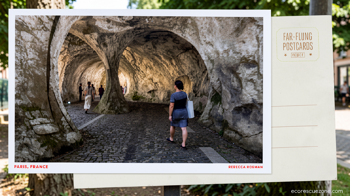 Greetings from Paris, where an art installation transformed the Pont Neuf into a rocky cave