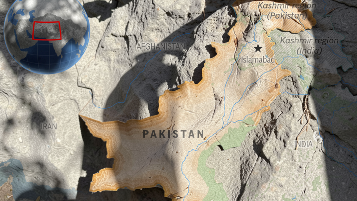 Pakistani forces kill 24 militants in border raids near Afghanistan