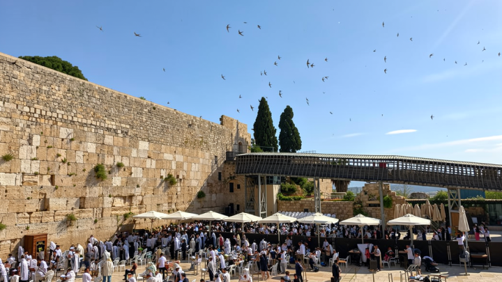 An Israeli paraglider tries to save migrating swifts that nest in the Western Wall