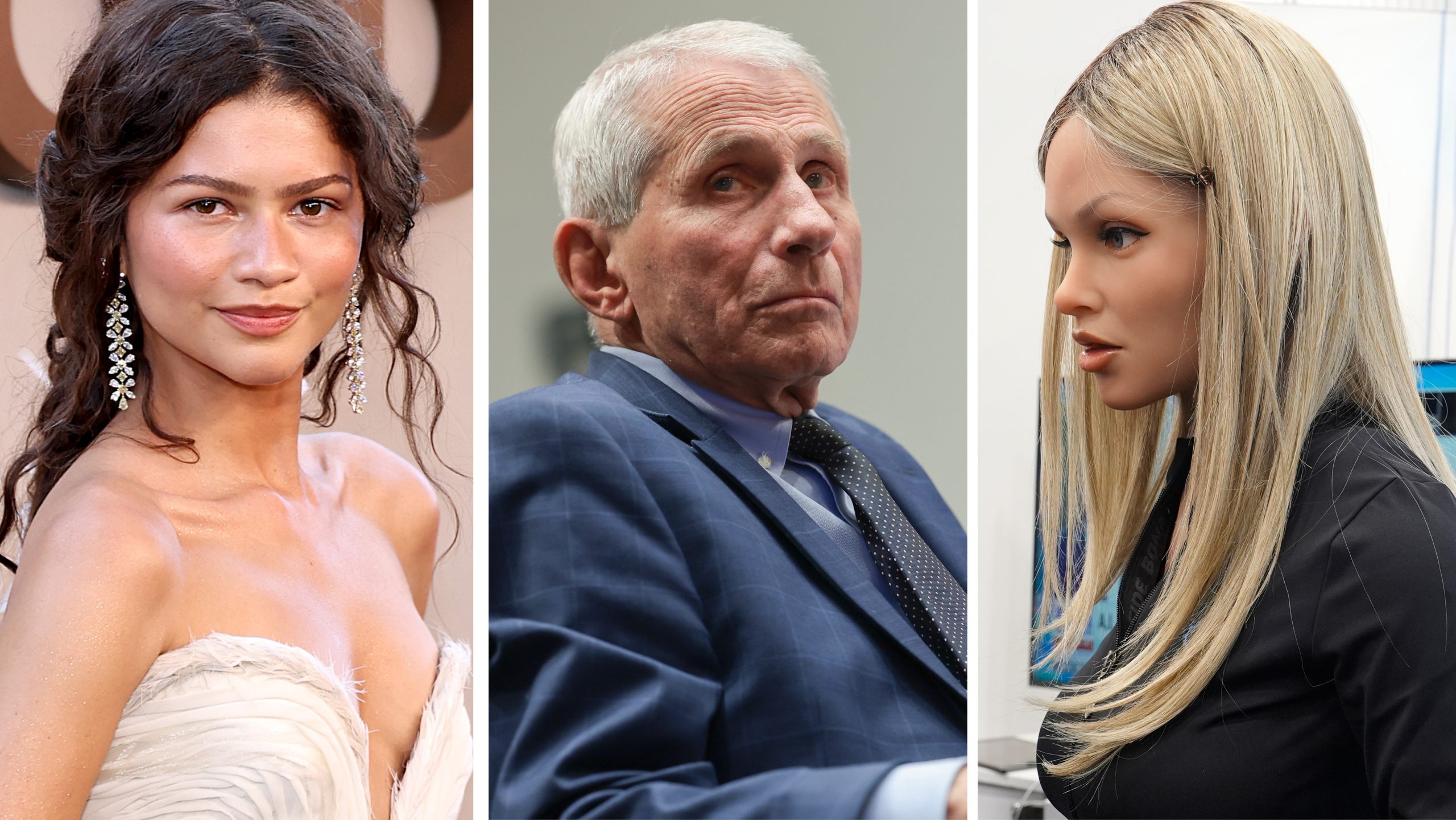 Who’s driving a bookmobile full of Epstein files? The quiz knows!