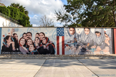 They fought for the U.S. in Afghanistan. Now they worry about losing their green cards