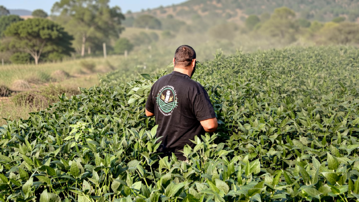 The Iran war and tariffs are costing farmers. Will Republicans pay in November?