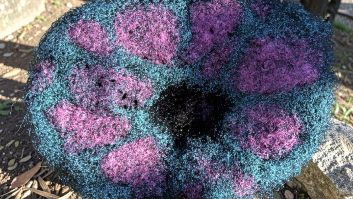 Scientists map key protein interactions linked with profound autism
